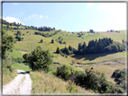 foto Strada delle Penise